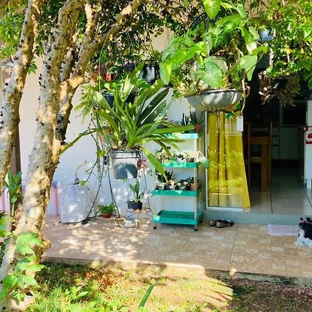 Para Desfutar Com A Familia Bombinhas Kültér fotó